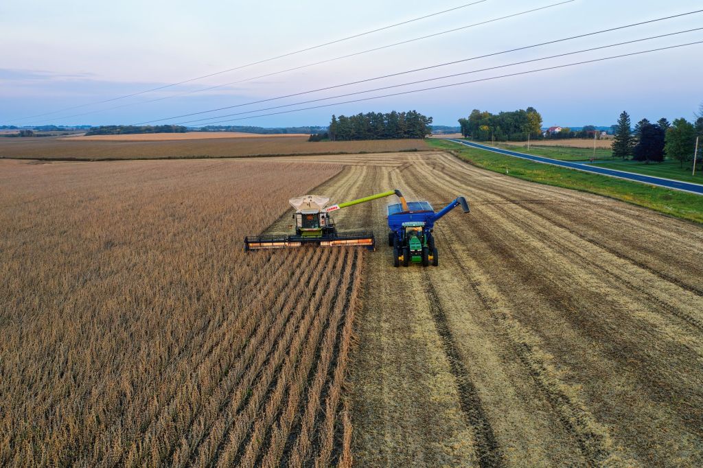 Exportaciones agropecuarias alcanzan 128% de crecimiento y abren ciclo&nbsp;expansivo