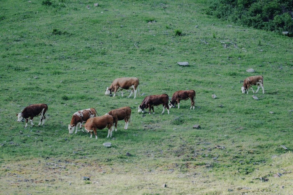 Corrientes financia inversiones rurales con tasas reducidas hasta 4&nbsp;años