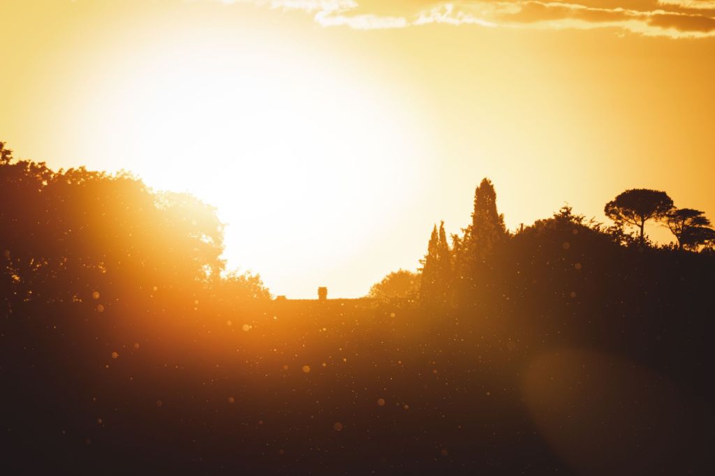 16.000 muertes en siete días: Europa enfrenta ola de calor&nbsp;letal